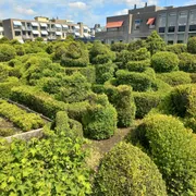 Stichting Historische Tuin Aalsmeer‎