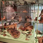 Kunstwerk! Liemers Museum