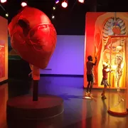 Discovery Museum