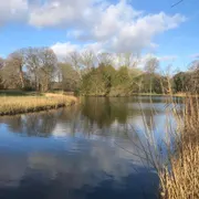 Kasteel Duivenvoorde