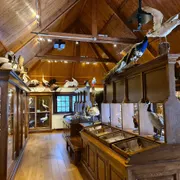 Museum Natura Docet