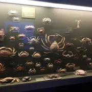 Muzee Scheveningen