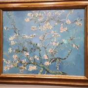 Van Gogh Museum