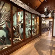 Museum Natura Docet
