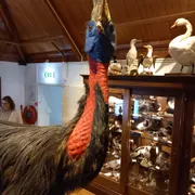 Museum Natura Docet
