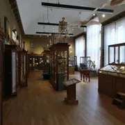 Universiteitsmuseum Groningen