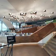Eye Filmmuseum