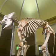 Natuurhistorisch Museum Rotterdam