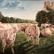 Museum van Bommel van Dam