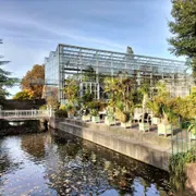 Hortus botanicus Leiden