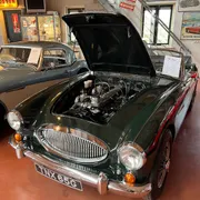 Healey Museum