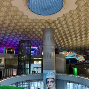 Next Nature Museum