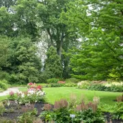 Trompenburg Tuinen & Arboretum