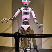 Discovery Museum