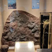 Geologisch Museum Hofland