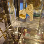 Museum voor Anatomie en Pathologie