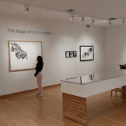 Museum Nairac