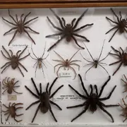 Missiemuseum