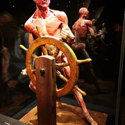 BODY WORLDS Amsterdam