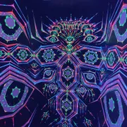 Motion Experience