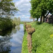Burgerweeshuis Buren
