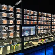 ARTIS - Micropia