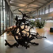 Nieuwe Instituut