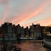 ROZENSTRAAT – a rose is a rose is a rose