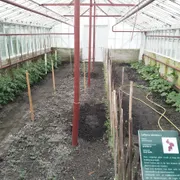 Stichting Historische Tuin Aalsmeer‎