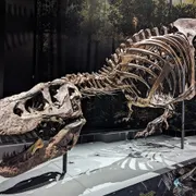 Naturalis Biodiversity Center