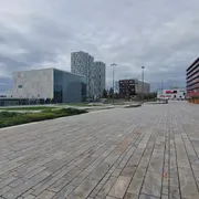Kunstlinie