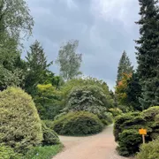 Nationaal Bomenmuseum Gimborn | Stichting Von Gimborn Arboretum