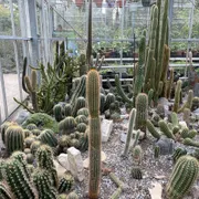 Trompenburg Tuinen & Arboretum