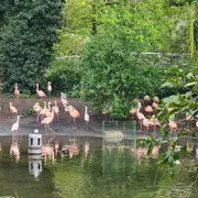 ARTIS - Groote Museum