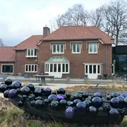 Singer Laren