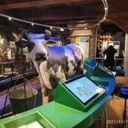 Hollands Kaasmuseum