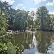 ARTIS - Groote Museum