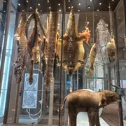 ARTIS - Groote Museum