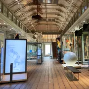 ARTIS - Groote Museum