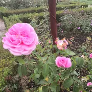 De Kruidhof | Hortus van Fryslân