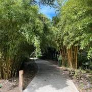 Botanische Tuinen Universiteit Utrecht