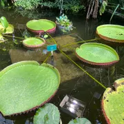 Botanische Tuinen Universiteit Utrecht