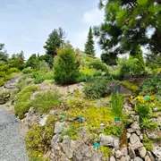 Botanische Tuinen Universiteit Utrecht