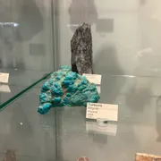 Stichting Gelders Geologisch Museum