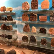 Geologisch Museum Hofland