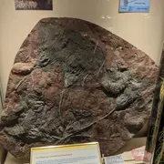 Geologisch Museum Hofland