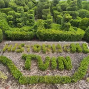 Stichting Historische Tuin Aalsmeer‎