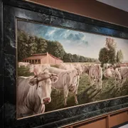 Museum van Bommel van Dam