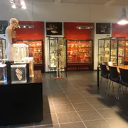 Museum voor Anatomie en Pathologie