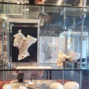 Museum voor Anatomie en Pathologie